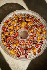 Bright red and yellow cherry tomatoes are arranged in a dehydrator, drying under warm air. This healthy method preserves their flavor, perfect for summer snacks.