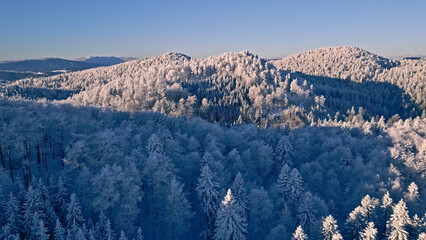A stunning winter landscape features snow-covered evergreen forests under a clear blue sky. The high-angle view highlights frosty trees and distant mountains, evoking tranquility and cold.