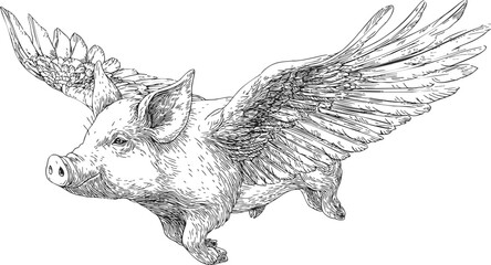 Flying pig sketch, hand drawn style, detailed wings, whimsical animal fantasy. Vector illustration