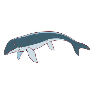 Mosasaur lizard illustration