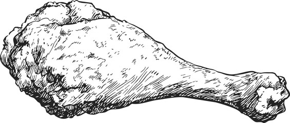 Fried chicken drumstick sketch, hand drawn crispy textured meat illustration. Vector illustration