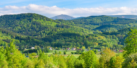 The Giant Mountains, Western Sudetes, with a view of the mountains with dense forest on the slopes and the highest peak, Sniezka. Panorama on a sunny summer day.