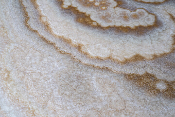 Natural beige onyx stone surface with crystalline mineral patterns and organic layered textures in a high-resolution close-up showcasing unique geological structure and warm earthy tones
