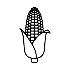 Simple black and white line drawing of a fresh ear of corn with husks