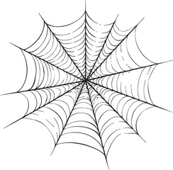 Spider web sketch hand drawn symmetrical radial lines on white background. Vector illustration