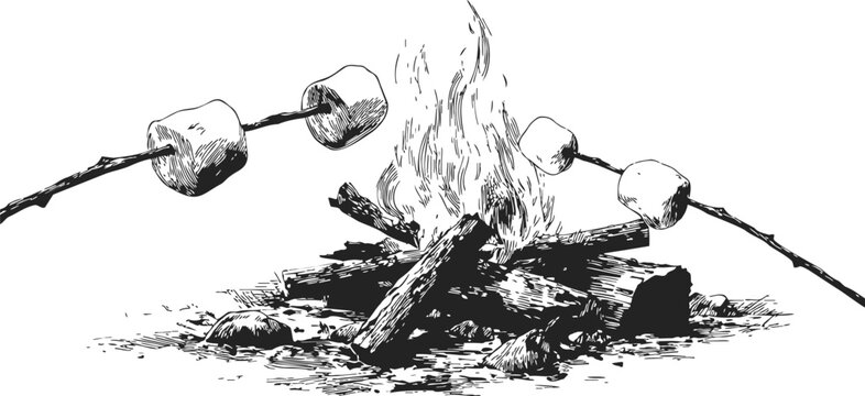 Marshmallows roasting over campfire, sketch hand drawn outdoor scene. Vector illustration