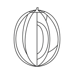 Stylized black and white outline drawing of a halved watermelon showing its internal structure and seeds