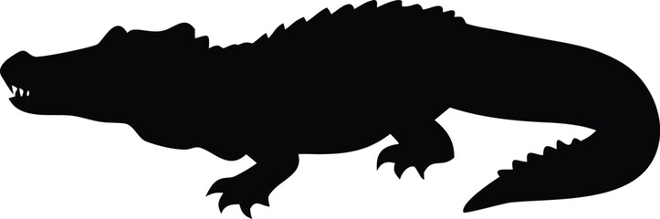 A close up view of a black and white cat s face with intense green eyes