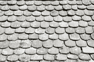 Old medieval clay roof tiles with green moss. Outdoor cleaning color of 2026 year cloud white