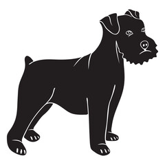 Schnauzer dog side black