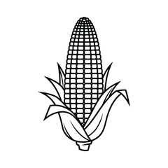 Black and white line drawing of a ripe ear of corn with husks