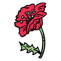 Poppy flower from side hand drawn