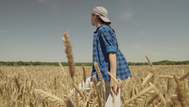 young woman works countryside tablet. farming concept. back view. young ears golden wheat farm. agriculture concept. farmer walks along rural road smart farm. cultivation of wheat by rural workers.