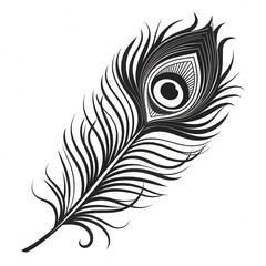 Obraz premium feather vector illustration