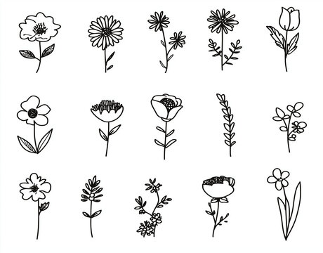 a set of simple line art flower icons, each depicting one type of flowers 