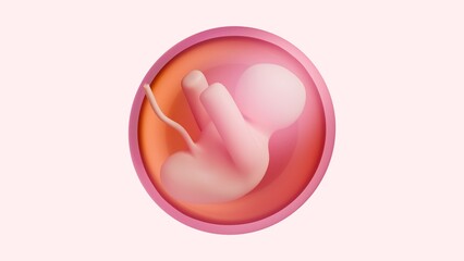 3D Fetus in Uterus Anatomy Pregnancy Medical Background - 1