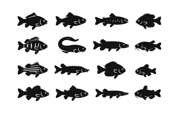 Collection of diverse fish silhouettes with varied shapes and features