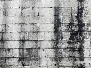 Old deteriorating brick wall in Detroit