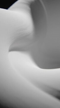 Ultra slow motion cinematic close-up shot revealing subtle light transition and texture on a matte white concave sculptural surface purity, professional, subtle