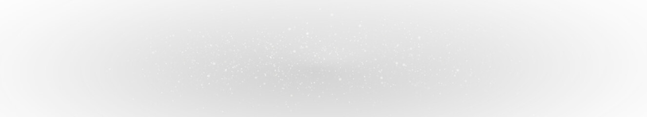 Shiny Christmas Spark