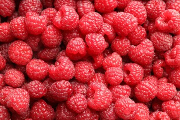 Fresh ripe raspberries as background, top view