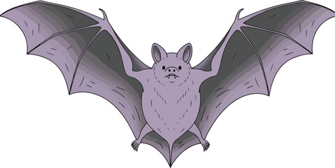 Cartoon illustration of a plump light purple bat with dark grey wings spread wide