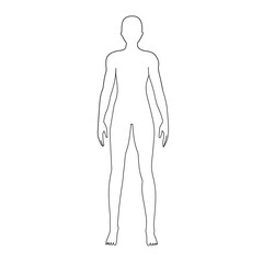 Neutral Human Silhouette in Line Art for Anatomy Reference