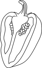 Bell Pepper Outline Illustration in Line Art for Culinary Graphics