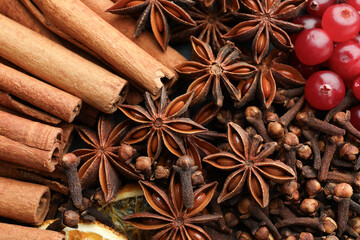 Different spices and cranberries for mulled wine as background, top view