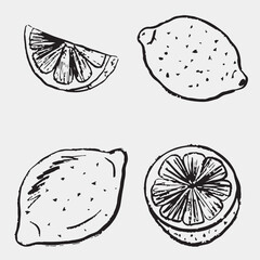 Hand drawn lemons whole and sliced. Perfect for culinary, botanical, or Mediterranean designs, kitchen. Vector sketch illustration in vintage crayon charcoal style