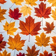 Obraz premium Vibrant maple leaves in warm autumn shades of red, orange, and yellow backlit against a bright seasonal sky, showcasing natural beauty and change