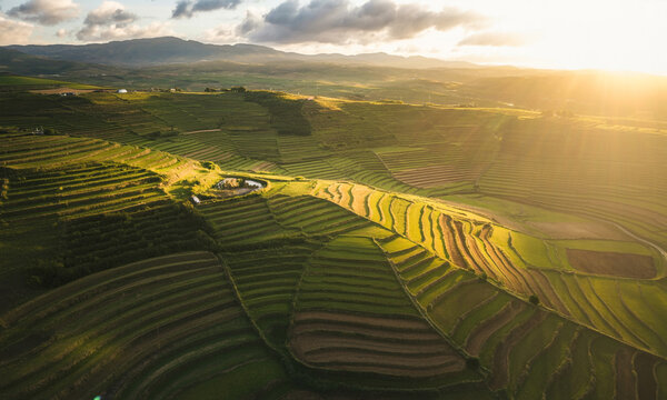 Aerial view of sunlit terraced fields and rolling hills under a cloudy sky at sunset agriculture
