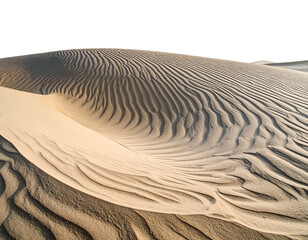 Close-up of a large sand dune featuring wavy ripples and deep shadows