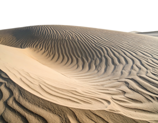 Close-up of a large sand dune featuring wavy ripples and deep shadows