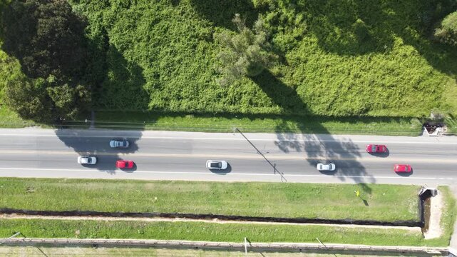 Top view road grass tree zone drone view sunny day cars in traffic