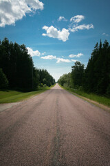 Summer afternoon on a remote forest road in northern Michigan
