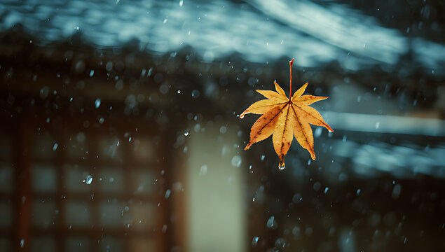A close-up of an autumn leaf falling in the rain