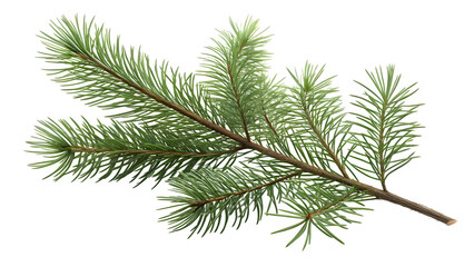 Naklejka premium small pine twig isolated on clean white background, minimal natural Christmas element, clean green needles, soft shadow, simple botanical detail 