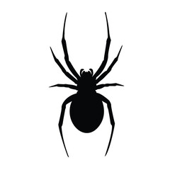 Black widow spider silhouette with eight legs isolated on a white background, representing fear, poison, and danger