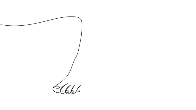 Human feet on floor scales, animated self drawing of single continuous line, 4K Stock video Animated sketch vector drawing. One line drawing of woman leg.