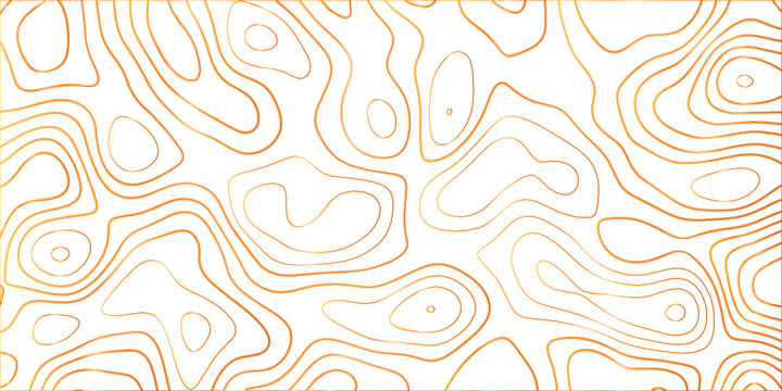 Topographic canyon geometric map relief texture with curved layers and shadow .Abstract geometric topographic contour map background. Panorama view gradient multicolor wave curve