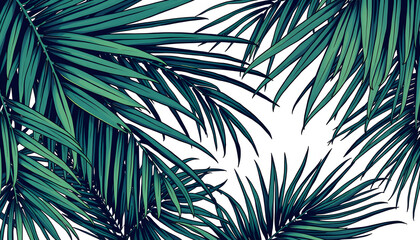 Obraz premium Palm leaves, palm branches, abstract drawing, tropical leaves, pop-art. White tone