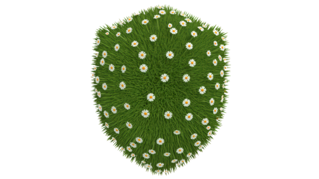 Grass with Daisies Isolated on Transparent Background Featuring Lush Green Plant with Fresh White and Yellow Flowers in Round Shape Ideal for Springtime Decoration and Nature Illustrations