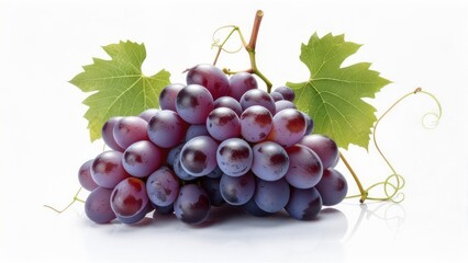Bunch of purple grapes with green leaves