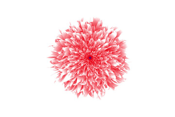 Fototapeta premium Edited flower photo with vibrant colors and soft artistic lighting, detailed floral close-up, clean background composition, high quality stock image for nature design, wall art, digital use and print 