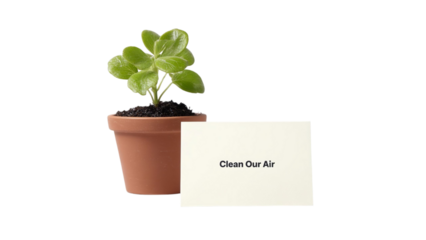 PNG of A vibrant green plant in a terracotta pot with a card reading 'Clean Our Air', symbolizing environmental awareness.