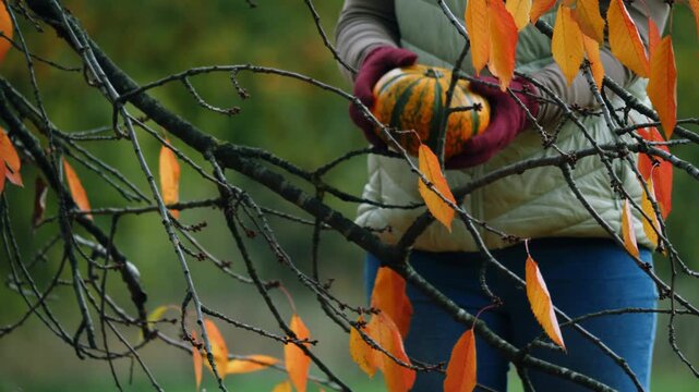 Woman holding Orange Pumpkin squash in autumn leave tree