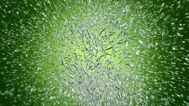 Dynamic 3D Animation of Bacteria Proliferation and Explosion.