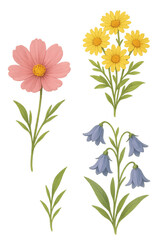 set of flowers PNG 