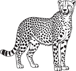 Detailed a cheetah silhouettes vector